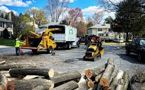 Best Lawn Pest Prevention  in South Laurel, MD